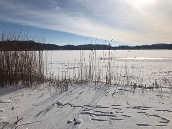 Ein schneebedeckter See in der Wintersonne.